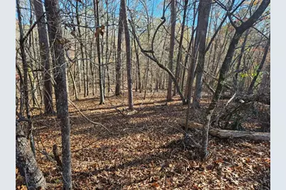 7629 Dogwood Way, Murrayville, GA 30564 - Photo 4