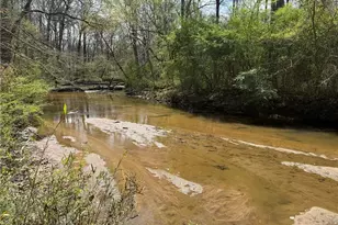 185 Melanie Ln, Fayetteville, GA 30214 - Photo 58