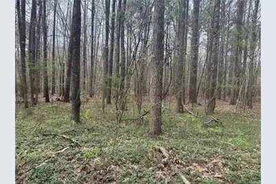 185 Melanie Lane, Fayetteville, GA 30214 - Photo 54