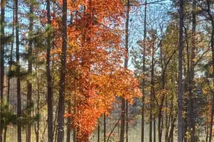 37 Farmstead Way, Senoia, GA 30276 - Photo 114