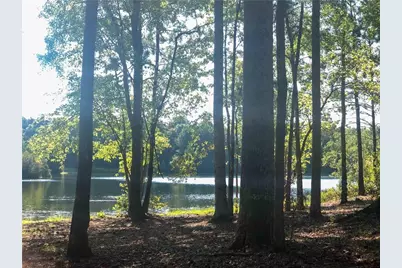 37 Farmstead Way, Senoia, GA 30276 - Photo 112