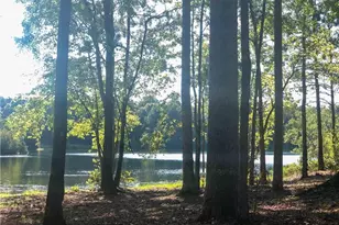 37 Farmstead Way, Senoia, GA 30276 - Photo 112