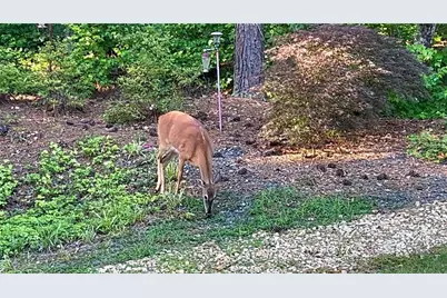 37 Farmstead Way, Senoia, GA 30276 - Photo 116