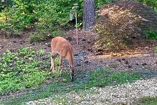 37 Farmstead Way, Senoia, GA 30276 - Photo 116
