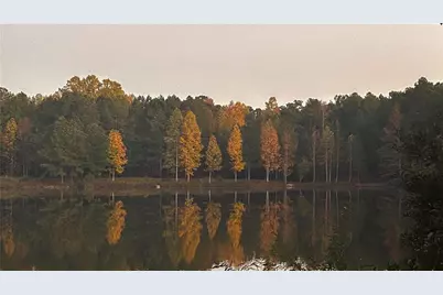 37 Farmstead Way, Senoia, GA 30276 - Photo 2