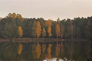 37 Farmstead Way, Senoia, GA 30276 - Photo 2