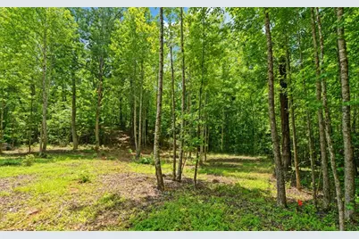 6755 Jake Kemp Road, Murrayville, GA 30564 - Photo 12