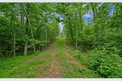 6755 Jake Kemp Road, Murrayville, GA 30564 - Photo 8