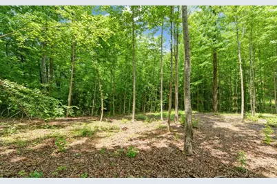 6755 Jake Kemp Road, Murrayville, GA 30564 - Photo 14