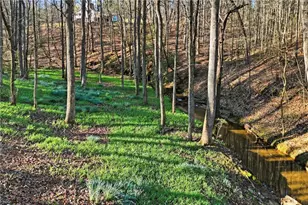 149 Hidden Creek Rd, Jasper, GA 30175 - Photo 48