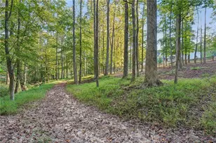 949 Free Home Rd, Canton, GA 30115 - Photo 62