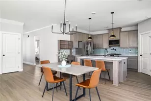 233 Mountain Ashe Ln, Dallas, GA 30132 - Photo 10