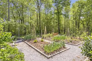 225 Hamrick Rd, Bremen, GA 30110 - Photo 46