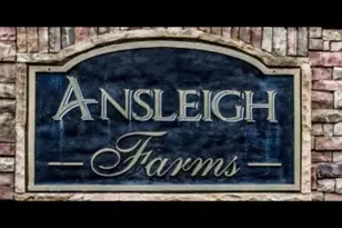 764 Stable View Loop, Dallas, GA 30132 - Photo 2