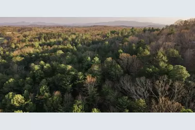 171 Huckleberry Lane, Mineral Bluff, GA 30559 - Photo 42