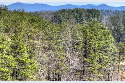 1489 Boy Scout Road, Blairsville, GA 30512 - Photo 46