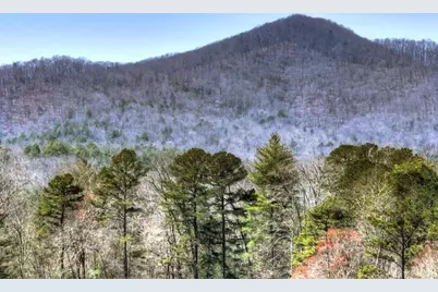 1489 Boy Scout Road, Blairsville, GA 30512 - Photo 28