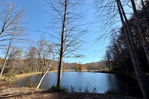 155 Waters Edge Ln, Clarkesville, GA 30523 - Photo 12