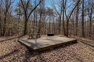 843 Fern Valley Road Rd, Ellijay, GA 30536 - Photo 68