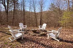 843 Fern Valley Road Rd, Ellijay, GA 30536 - Photo 66