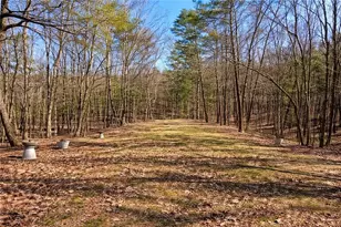 843 Fern Valley Road Rd, Ellijay, GA 30536 - Photo 60