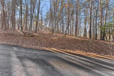 0 Golden Lot 3 Avenue, Dahlonega, GA 30533 - Photo 10