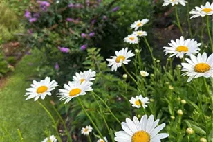 2324 E Cherokee Dr, Woodstock, GA 30188 - Photo 8