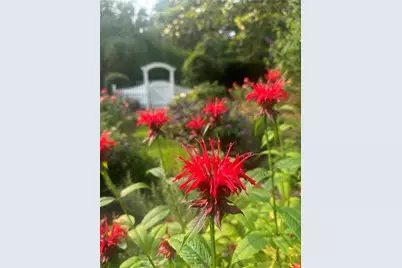 2324 E Cherokee Drive, Woodstock, GA 30188 - Photo 4