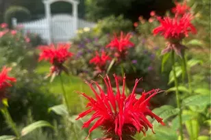 2324 E Cherokee Dr, Woodstock, GA 30188 - Photo 4