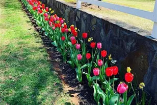 2324 E Cherokee Dr, Woodstock, GA 30188 - Photo 2