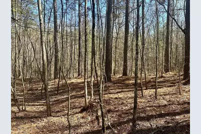 555 Larmon Forks Road, Dahlonega, GA 30533 - Photo 8