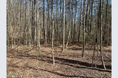 555 Larmon Forks Road, Dahlonega, GA 30533 - Photo 6