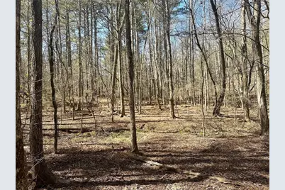 555 Larmon Forks Road, Dahlonega, GA 30533 - Photo 1