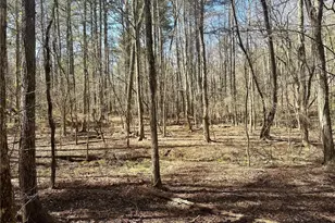 555 Larmon Forks Rd, Dahlonega, GA 30533 - Photo 1