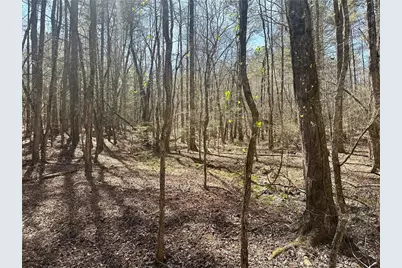 555 Larmon Forks Road, Dahlonega, GA 30533 - Photo 4