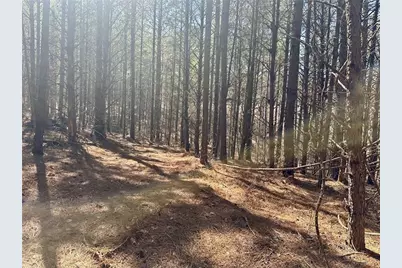 555 Larmon Forks Road, Dahlonega, GA 30533 - Photo 10