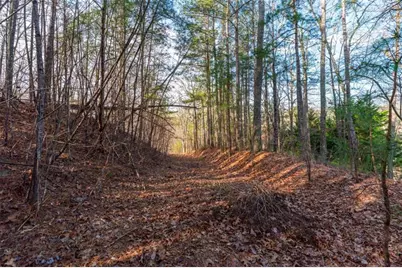 14 Hawks Branch Lane, White, GA 30184 - Photo 6