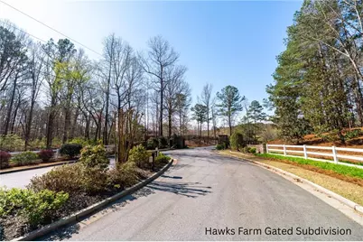 14 Hawks Branch Lane, White, GA 30184 - Photo 4