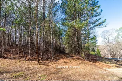 14 Hawks Branch Lane, White, GA 30184 - Photo 6