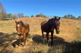 715 E Cochran Rd SE, Ranger, GA 30734 - Photo 44