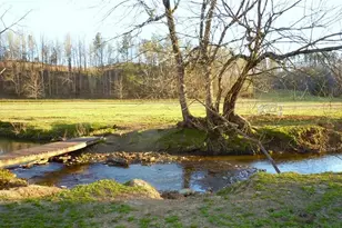 715 E Cochran Rd SE, Ranger, GA 30734 - Photo 4