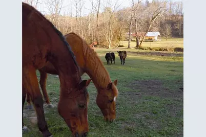 715 E Cochran Road SE, Ranger, GA 30734 - Photo 60