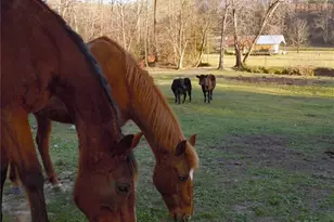 715 E Cochran Rd SE, Ranger, GA 30734 - Photo 60