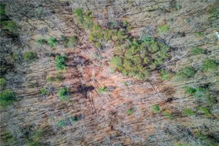 47 Tobacco Pouch Creek Rd, Dahlonega, GA 30533 - Photo 38