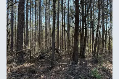 00 Henderson Mountain Road, Fairmount, GA 30139 - Photo 2