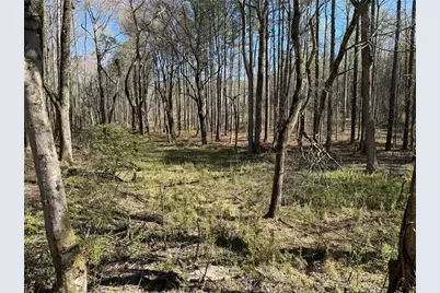 00 Henderson Mountain Road, Fairmount, GA 30139 - Photo 8