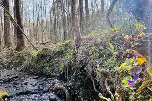 211 Maggies Rd, Canton, GA 30115 - Photo 64