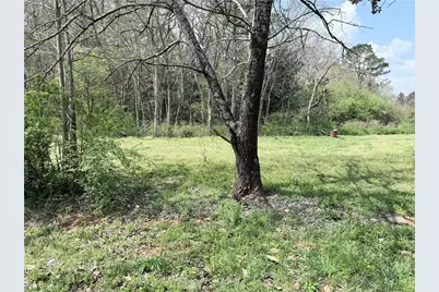 00 Old Columbus Road, Bowdon, GA 30108 - Photo 4