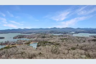 45 Wilderness Trail, Blue Ridge, GA 30513 - Photo 58