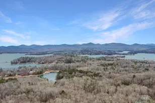 45 Wilderness Trail, Blue Ridge, GA 30513 - Photo 58